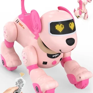 Intelligent Robot Dog
