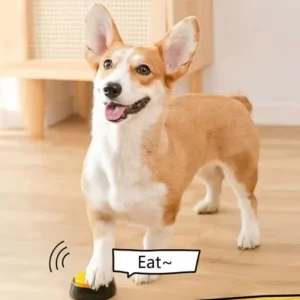 Recordable Dog Talking Button